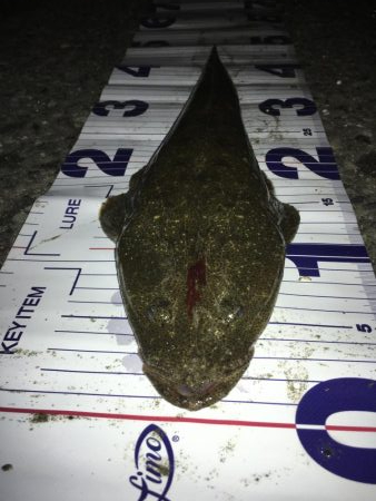 マゴチとセイゴ