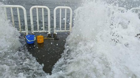 南港魚つり園護岸でモンスター
