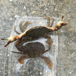 雨の日って釣れるのかな?