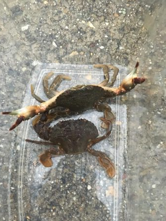 雨の日って釣れるのかな?