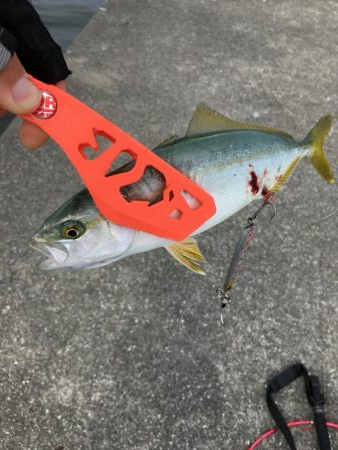 ポーアイ沖堤防LSJ