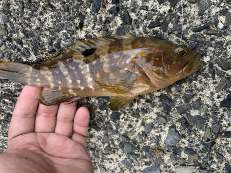 ライトロック〜