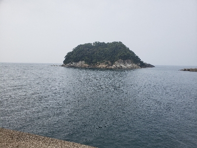 射程距離外でアウト