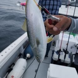 明石タイラバちょっとだけリベンジ