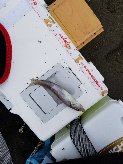 今日は近場で？