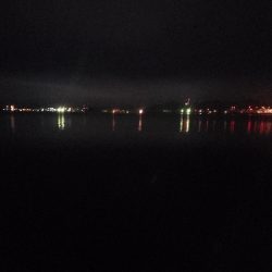 アコウを狙いに