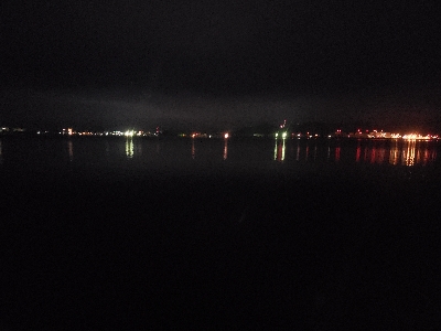 アコウを狙いに