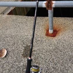 釣り部  釣行記  33