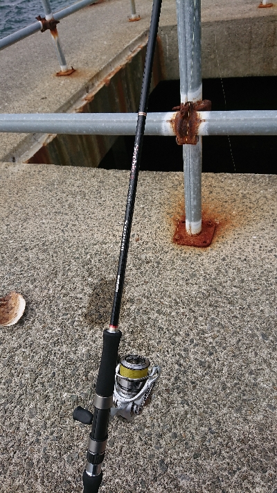 釣り部  釣行記  33