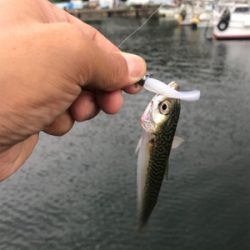 ライトワインドゲーム