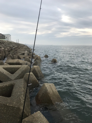 木材港でキス釣り