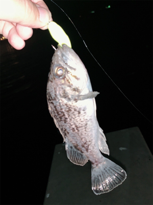 時間無制限一本勝負