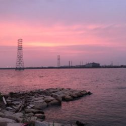 でっかいマチヌ釣ったどー