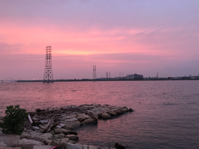 でっかいマチヌ釣ったどー