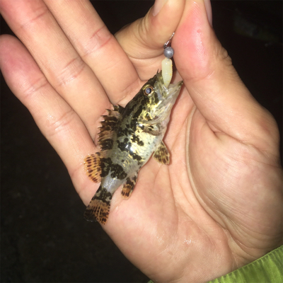 癒しのメバリング〜GUNNING-STYLE