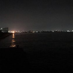 久しぶりのアオリGET(≧∀≦)