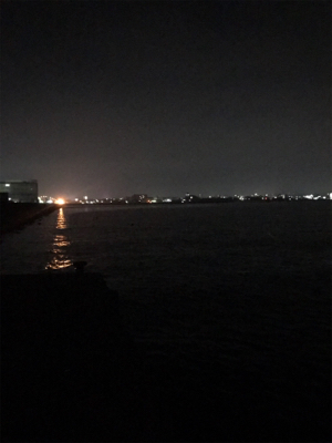 久しぶりのアオリGET(≧∀≦)