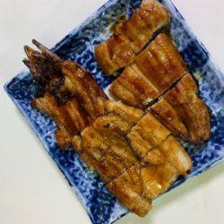 夕方はうなぎ釣り