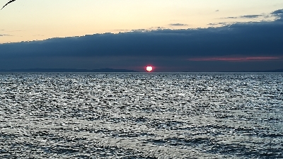 ナイトアジング