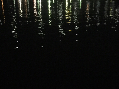 久しぶりの、ええアジ！