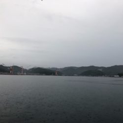 久しぶりに満足の釣り