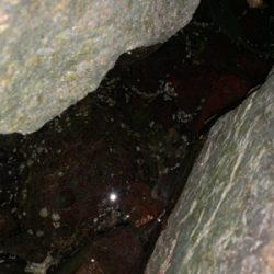 夕方からうなぎ釣り