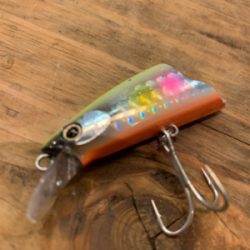 ひぃーっさびさのデイシーバス☆