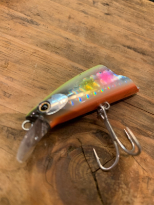 ひぃーっさびさのデイシーバス☆