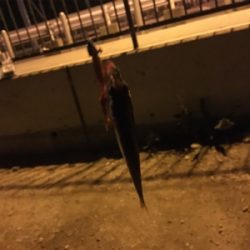 恐るべし…熟成アクア