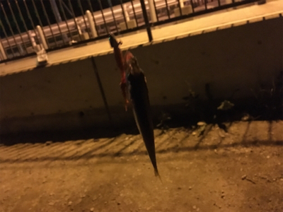 恐るべし…熟成アクア