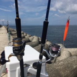 ツバス祭りまだまだ続く