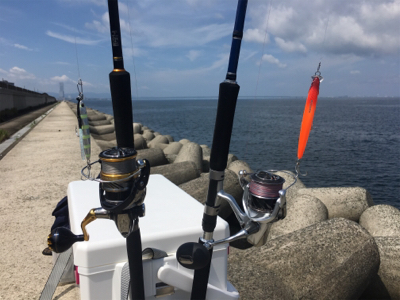 ツバス祭りまだまだ続く