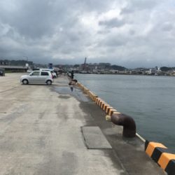 鹿児島帰省エギング(^^)