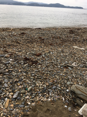 初めて釣れました