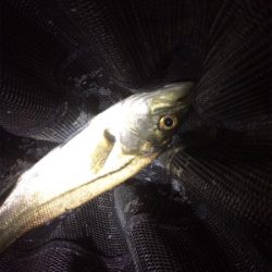 ジメジメ吹っ飛ばすライトゲーム!