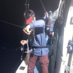 シロイカ  イカメタル  ブルーシャーク