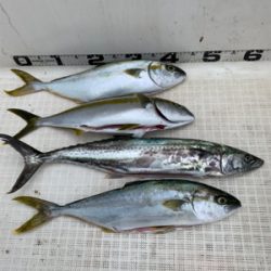 マイボート祝日釣行