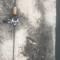 ベイトでロック