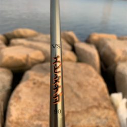 ナイトテナガエビ釣り