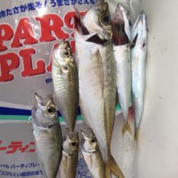 アジング成立（苦笑）