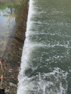 梅雨の中休みに!
