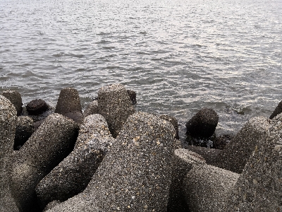 タコシーズン開幕か?