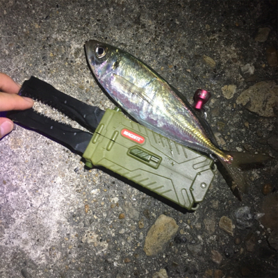 中アジ爆釣!GUNNING-STYLE