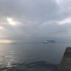 初めてのミニ波止で