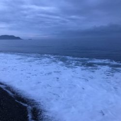 七里御浜でタイ!?