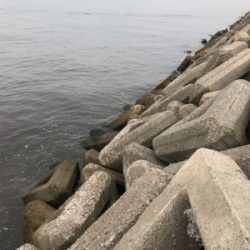 タコ釣れないので夜釣りに