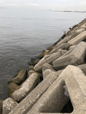 タコ釣れないので夜釣りに