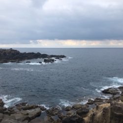 マルヒサ渡船爆釣ハタゲーム