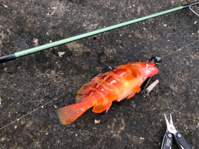 上物とちょっとロックinマルヒサ渡船