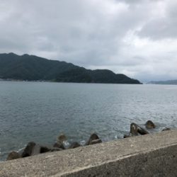 親父たちの釣行 ホームグランド編